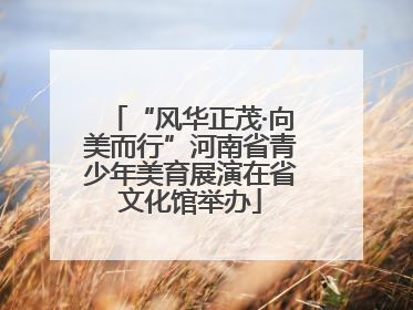 “风华正茂·向美而行”河南省青少年美育展演在省文化馆举办