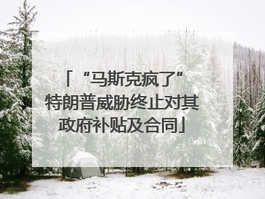 “马斯克疯了” 特朗普威胁终止对其政府补贴及合同