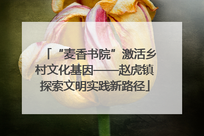 “麦香书院”激活乡村文化基因——赵虎镇探索文明实践新路径