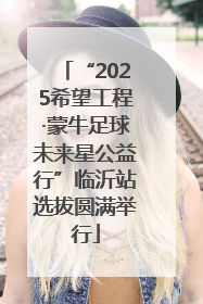 “2025希望工程·蒙牛足球未来星公益行”临沂站选拔圆满举行
