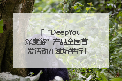 “DeepYou深度游”产品全国首发活动在潍坊举行