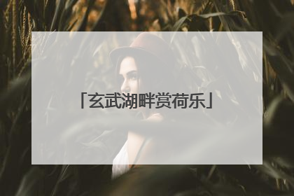 玄武湖畔赏荷乐
