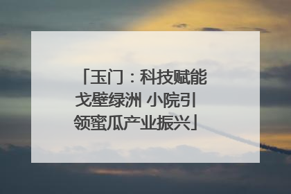 玉门：科技赋能戈壁绿洲 小院引领蜜瓜产业振兴