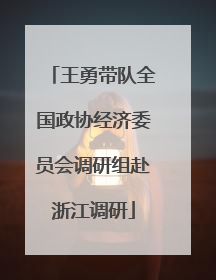 王勇带队全国政协经济委员会调研组赴浙江调研