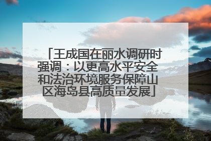 王成国在丽水调研时强调：以更高水平安全和法治环境服务保障山区海岛县高质量发展