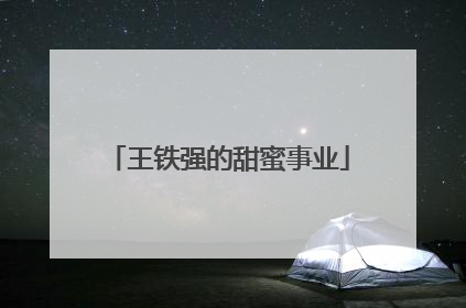 王铁强的甜蜜事业