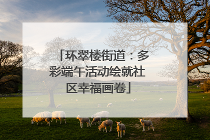 环翠楼街道：多彩端午活动绘就社区幸福画卷