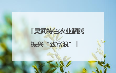 灵武特色农业翻腾振兴“致富浪”