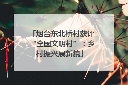 烟台东北桥村获评“全国文明村”：乡村振兴展新貌