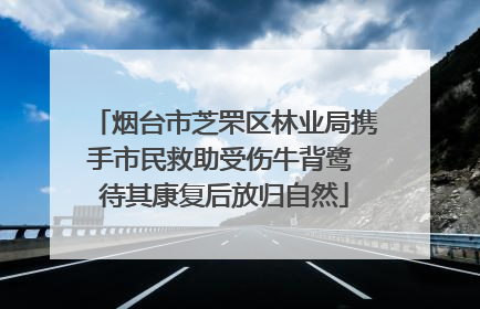 烟台市芝罘区林业局携手市民救助受伤牛背鹭 待其康复后放归自然