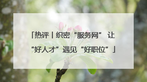 热评丨织密“服务网” 让“好人才”遇见“好职位”