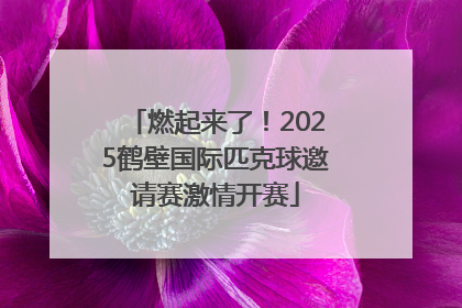 燃起来了！2025鹤壁国际匹克球邀请赛激情开赛
