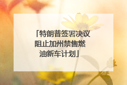 特朗普签署决议 阻止加州禁售燃油新车计划