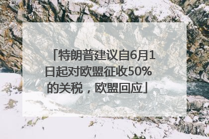 特朗普建议自6月1日起对欧盟征收50%的关税，欧盟回应
