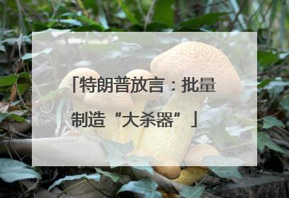 特朗普放言：批量制造“大杀器”