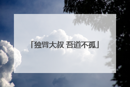 独臂大叔 吾道不孤