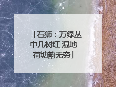 石狮：万绿丛中几树红 湿地荷塘韵无穷