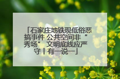 石家庄地铁现低俗恶搞事件 公共空间非“秀场” 文明底线应严守丨有一说一
