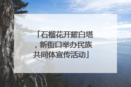 石榴花开耀白塔，新街口举办民族共同体宣传活动