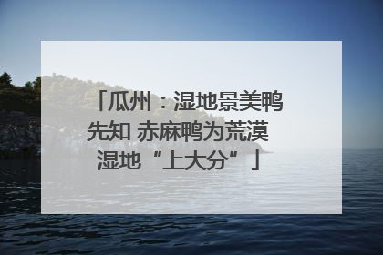 瓜州：湿地景美鸭先知 赤麻鸭为荒漠湿地“上大分”