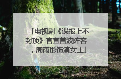 电视剧《谍报上不封顶》官宣首波阵容，周雨彤饰演女主