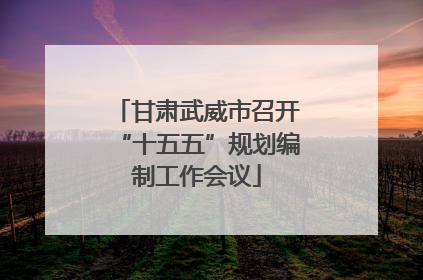 甘肃武威市召开“十五五”规划编制工作会议