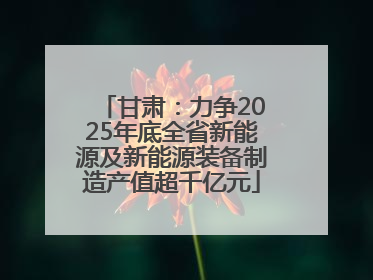 甘肃：力争2025年底全省新能源及新能源装备制造产值超千亿元