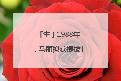 生于1988年，马丽拟获提拔