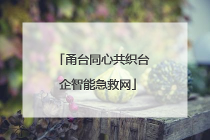甬台同心共织台企智能急救网