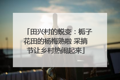 田兴村的蜕变：栀子花田的杨梅熟啦 采摘节让乡村热闹起来