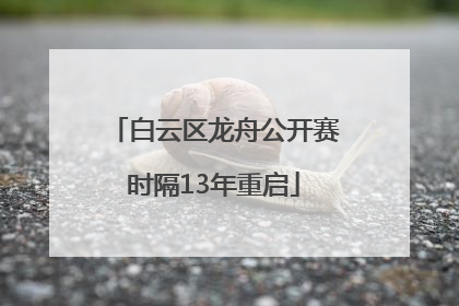 白云区龙舟公开赛时隔13年重启