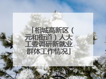 相城高新区（元和街道）人大工委调研新就业群体工作情况