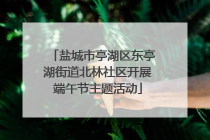 盐城市亭湖区东亭湖街道北林社区开展端午节主题活动