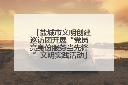 盐城市文明创建巡访团开展“党员亮身份服务当先锋”文明实践活动