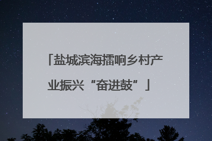 盐城滨海擂响乡村产业振兴“奋进鼓”