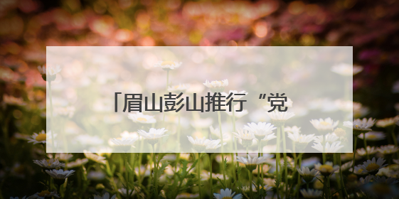 眉山彭山推行“党建+政务服务”模式 精准惠企便民