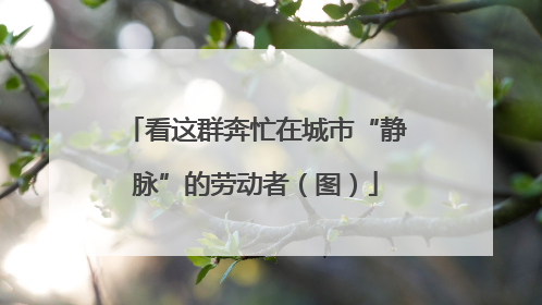 看这群奔忙在城市“静脉”的劳动者（图）