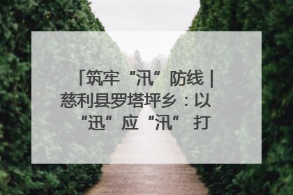 筑牢“汛”防线｜慈利县罗塔坪乡：以“迅”应“汛” 打赢暴雨防御战
