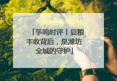 筝鸣时评丨夏粮丰收背后，是潍坊全城的守护