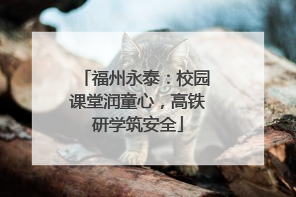 福州永泰：校园课堂润童心，高铁研学筑安全