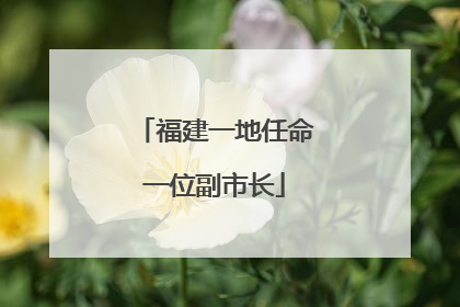 福建一地任命一位副市长