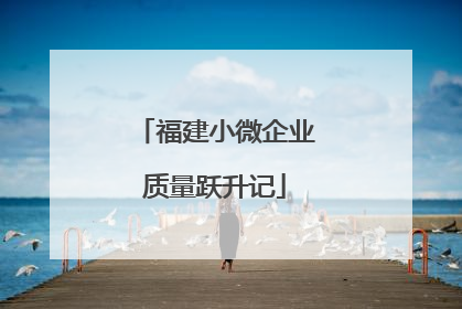 福建小微企业质量跃升记