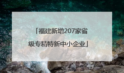 福建新增207家省级专精特新中小企业
