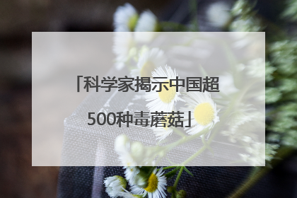 科学家揭示中国超500种毒蘑菇