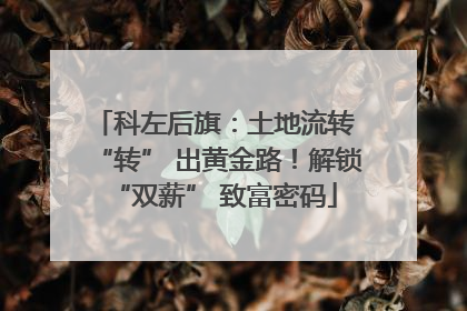科左后旗：土地流转 “转” 出黄金路！解锁 “双薪” 致富密码