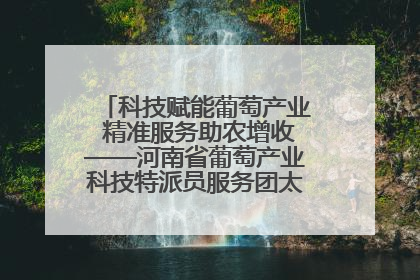科技赋能葡萄产业 精准服务助农增收——河南省葡萄产业科技特派员服务团太康县科技服务纪实