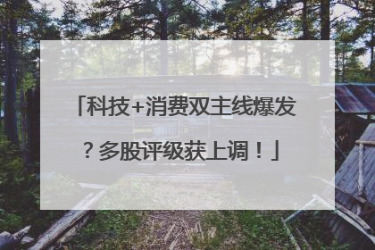 科技+消费双主线爆发？多股评级获上调！