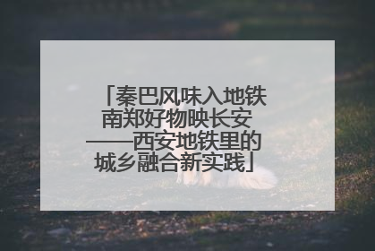 秦巴风味入地铁 南郑好物映长安——西安地铁里的城乡融合新实践