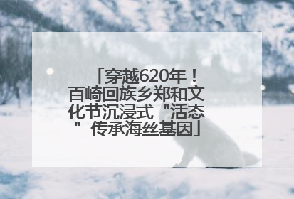 穿越620年！百崎回族乡郑和文化节沉浸式“活态”传承海丝基因