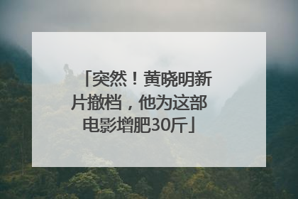 突然！黄晓明新片撤档，他为这部电影增肥30斤